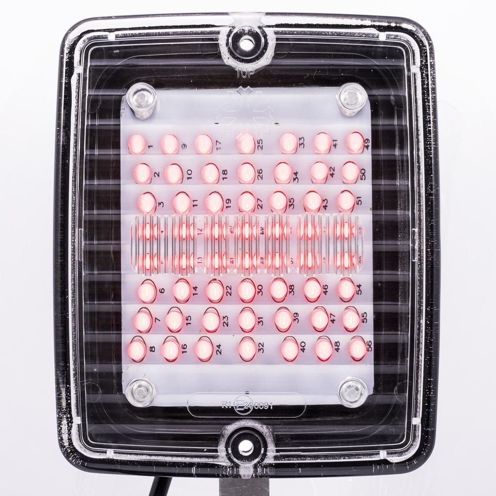 IZELED - Tail light with clear lens